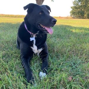 Meet your Posher, Haley